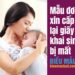 Mẫu đơn xin cấp lại giấy khai sinh bị mất