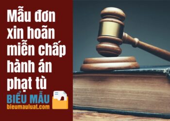 Mẫu đơn xin hoãn miễn chấp hành án phạt tù