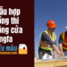 Mẫu hợp đồng thi công cửa xingfa