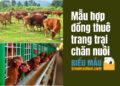 Mẫu hợp đồng thuê trang trại chăn nuôi