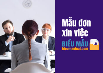 Mẫu đơn xin việc thu hút nhà tuyển dụng
