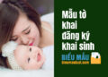 Mẫu tờ khai đăng ký khai sinh