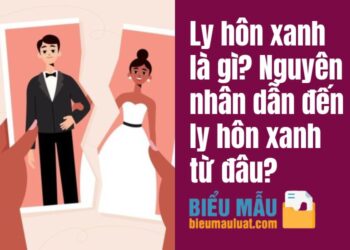 Ly hôn xanh là gì? Nguyên nhân dẫn đến ly hôn xanh từ đâu?