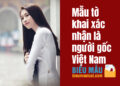 Mẫu tờ khai xác nhận là người gốc Việt Nam