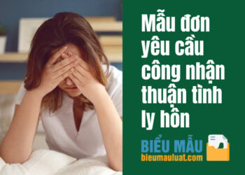 Mẫu đơn yêu cầu công nhận thuận tình ly hôn