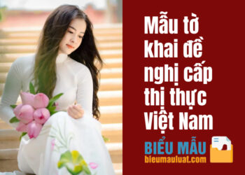 Mẫu tờ khai đề nghị cấp thị thực Việt Nam